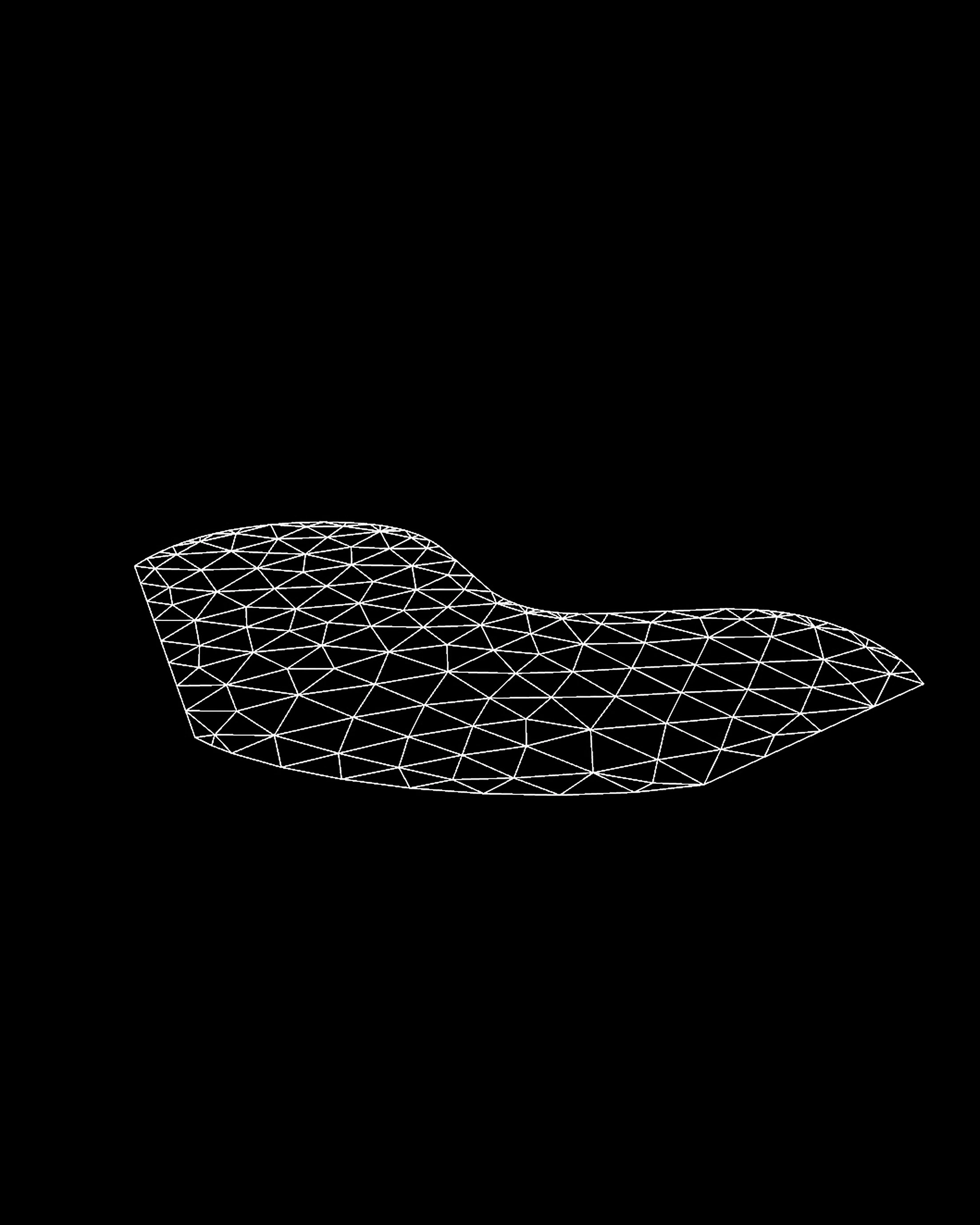 Schritt 04: Remesh