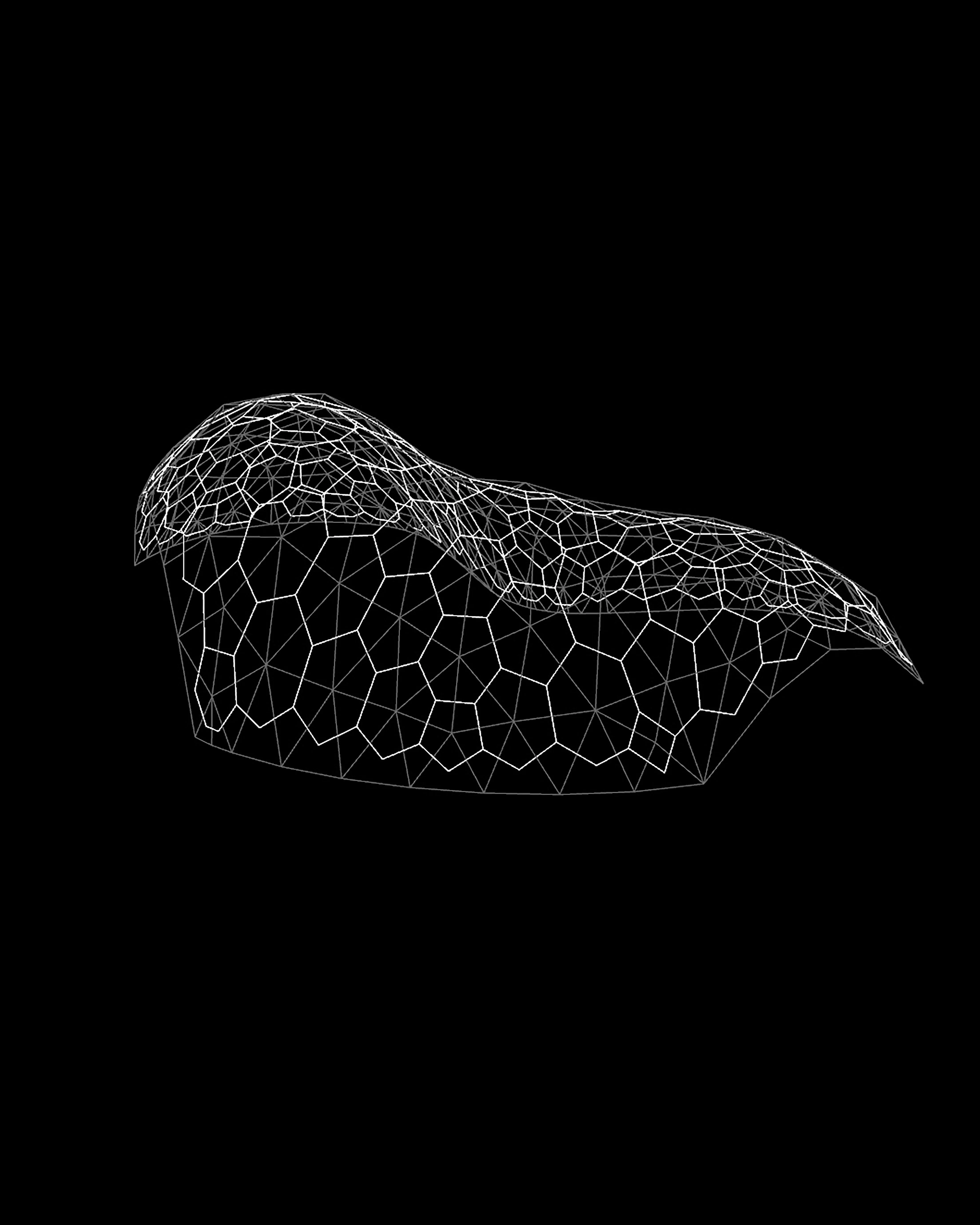 Schritt 08: Dualer Graph