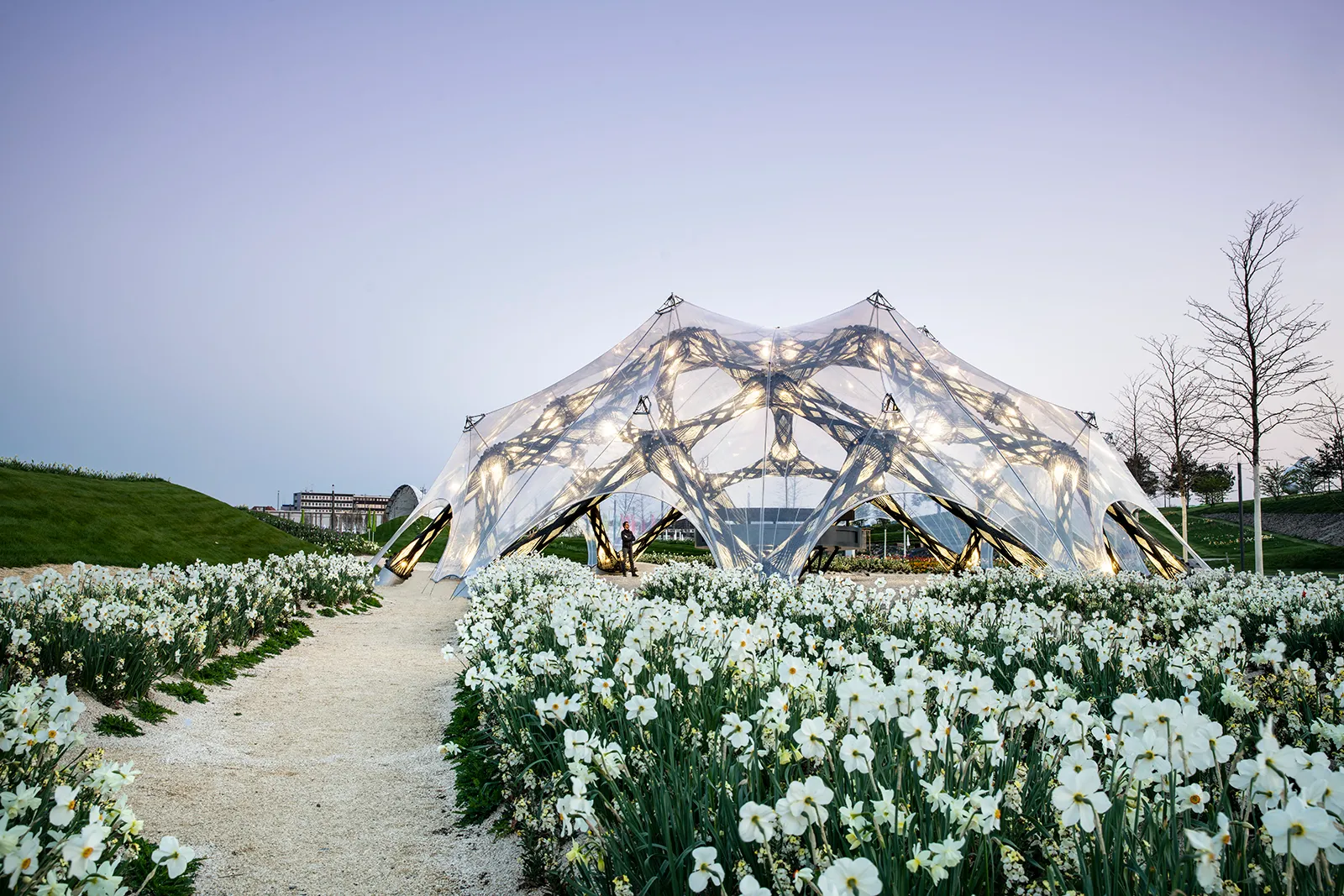 BUGA Fibre Pavilion 2019, transluzente Schale aus gewickelten Fasern in einem Narzissenfeld