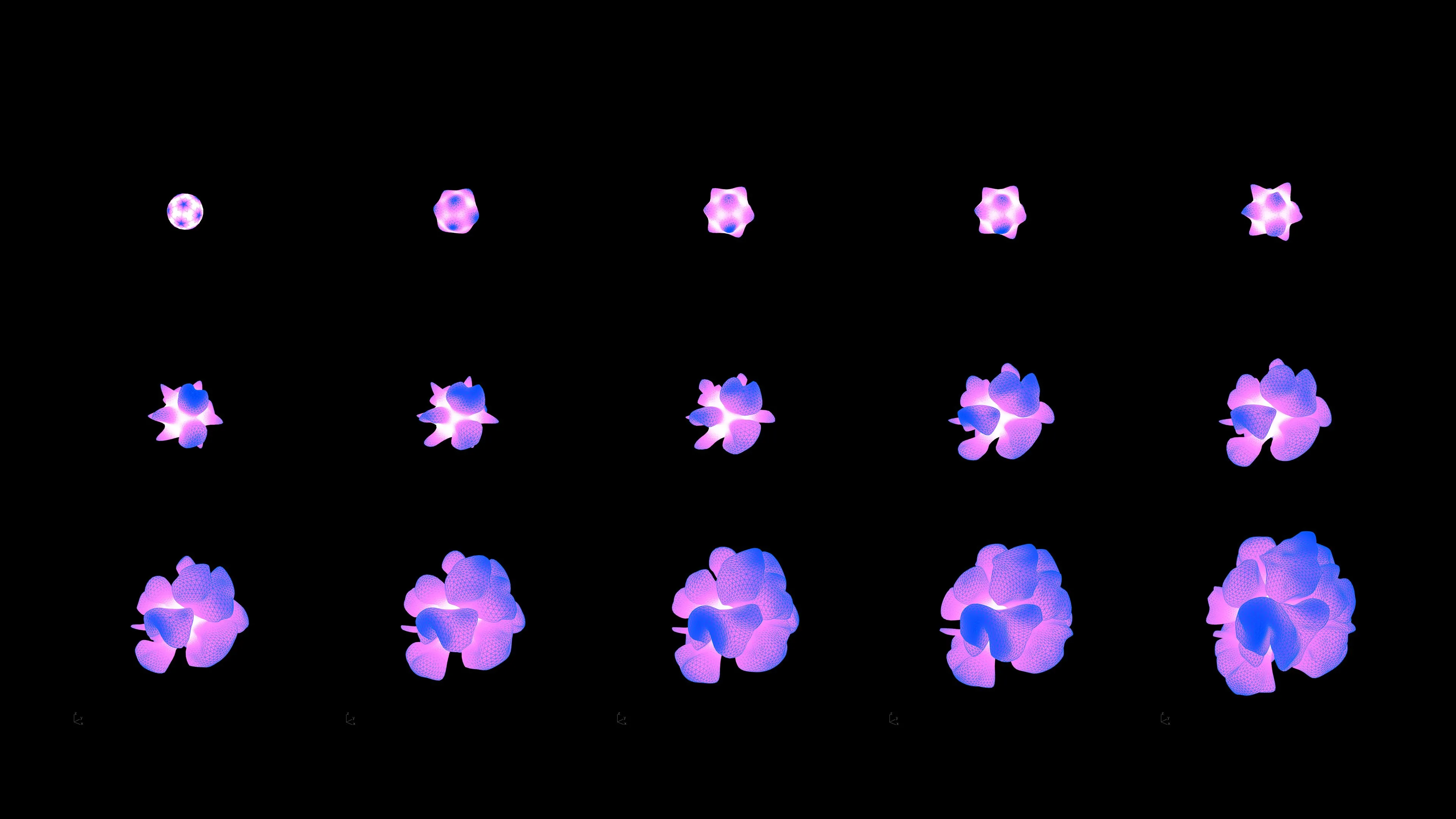 Frame sequence of the differential growth algorithm using a mesh.