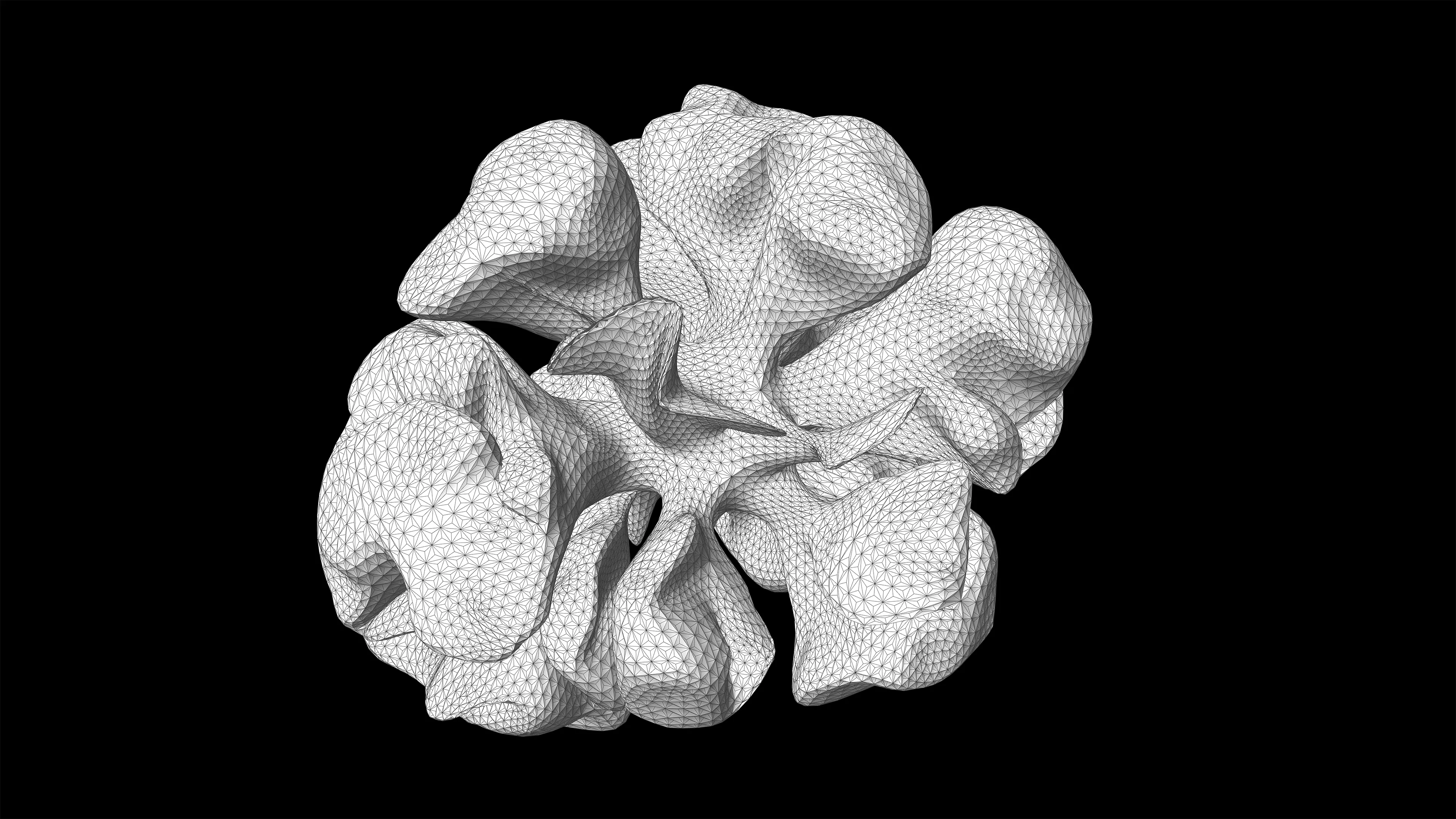 Details der Mesh-Kanten nach dem differentiellen Wachstumsalgorithmus.