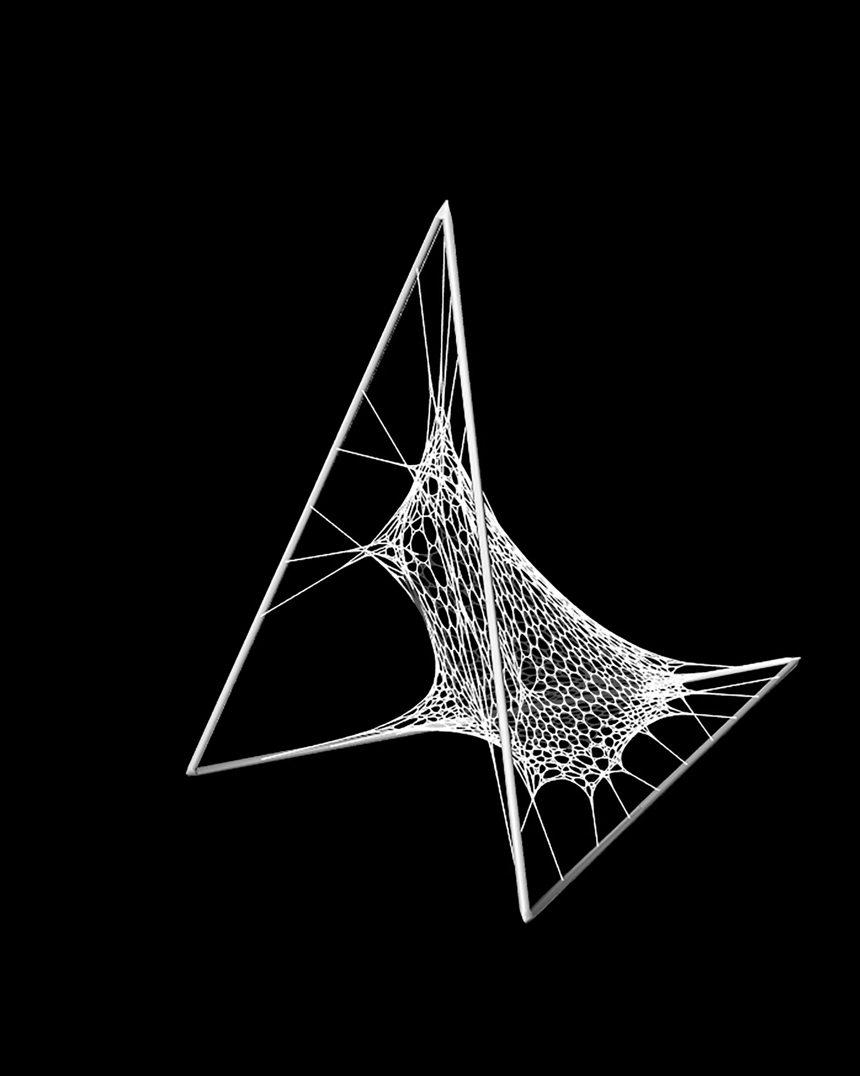 Abgestumpftes duales Hexagonal-Netz: Render 13
