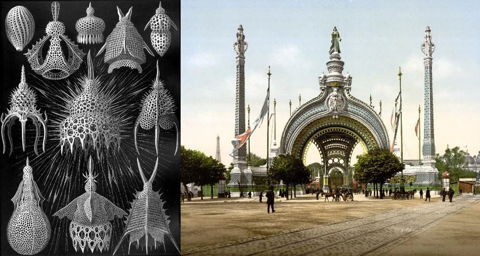 Ernst Haeckel e Detroit Publishing Company