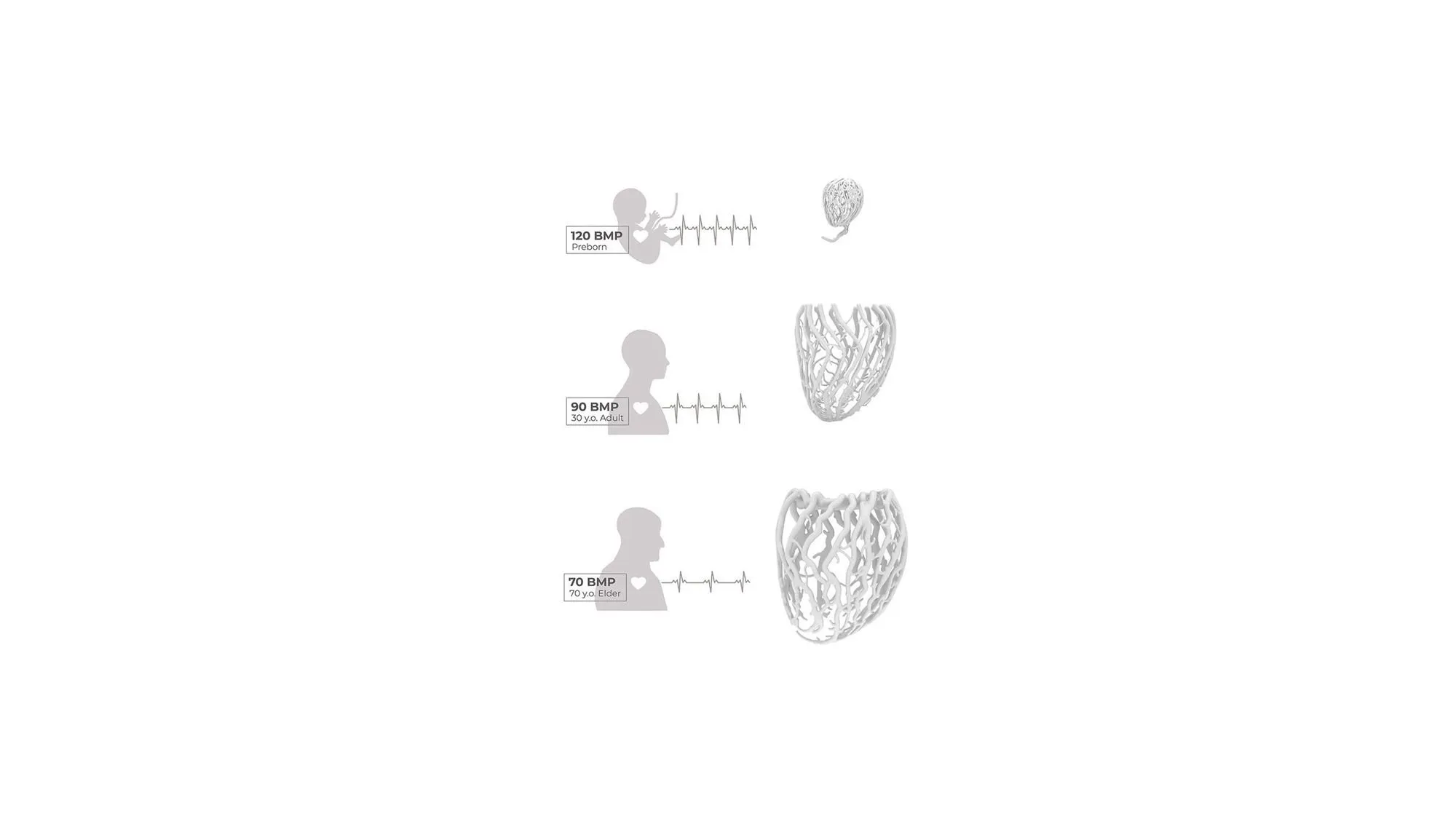 Life Lamp Konzeptdiagramm: drei Herzschlagwerte überlagern sich auf den Silhouetten eines Babys, eines Erwachsenen und einer älteren Person. Daneben die resultierenden jeweiligen 3D-Geometrien.