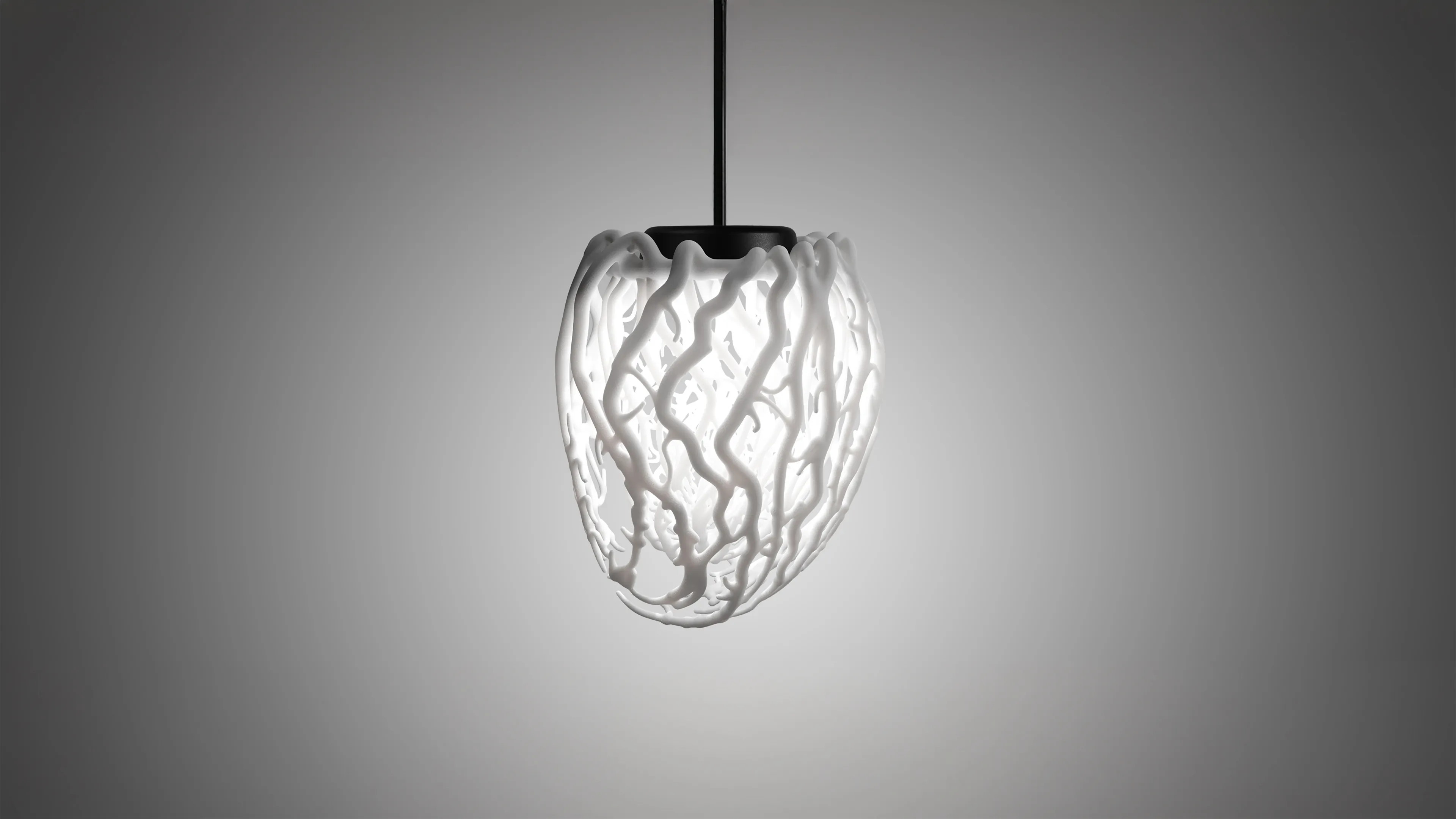 Life Lamp acesa.