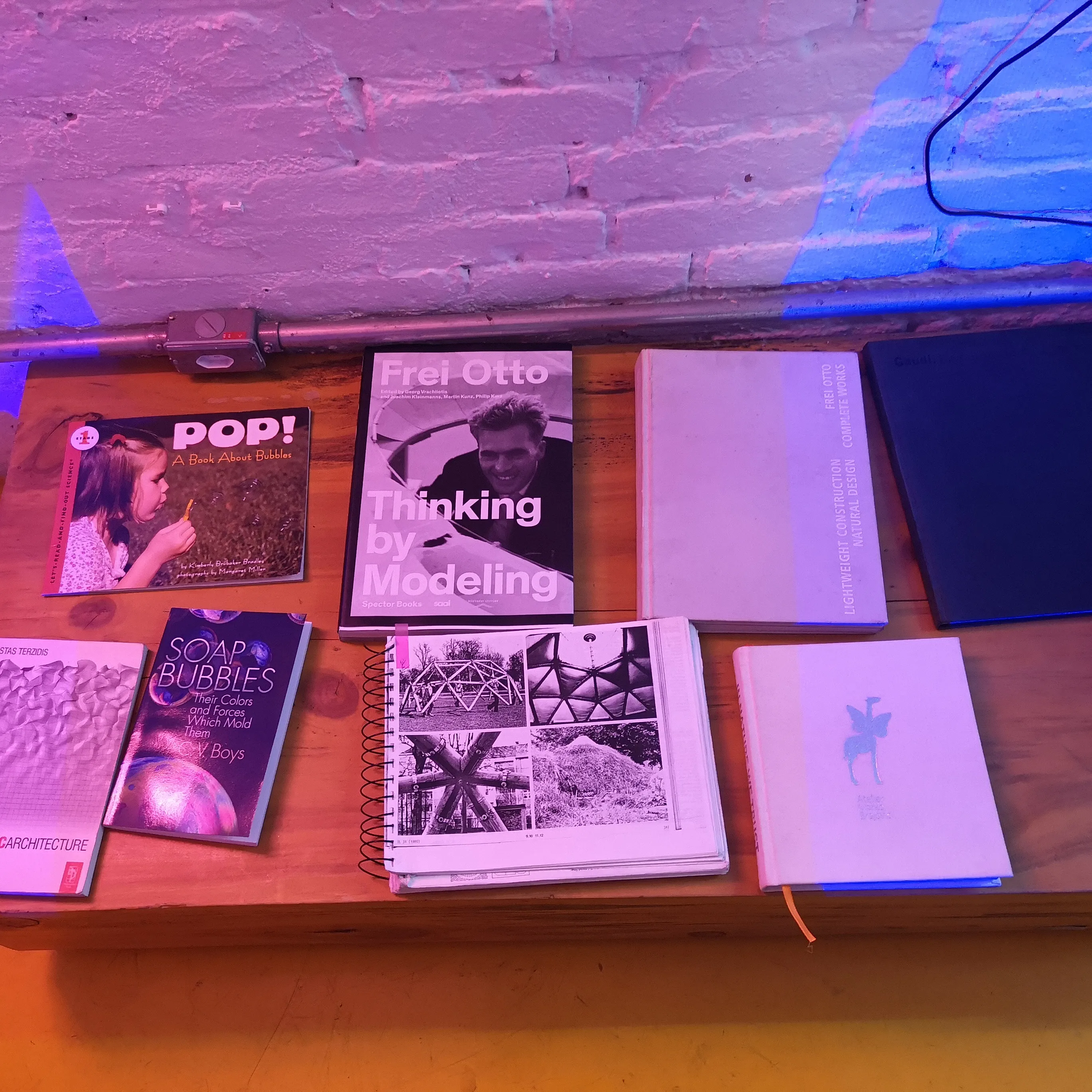 Livros de referência incluindo Frei Otto e Soap Bubbles