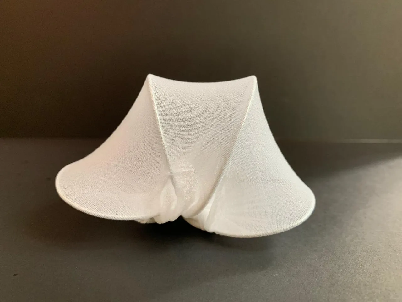 Tensile fabric model detail