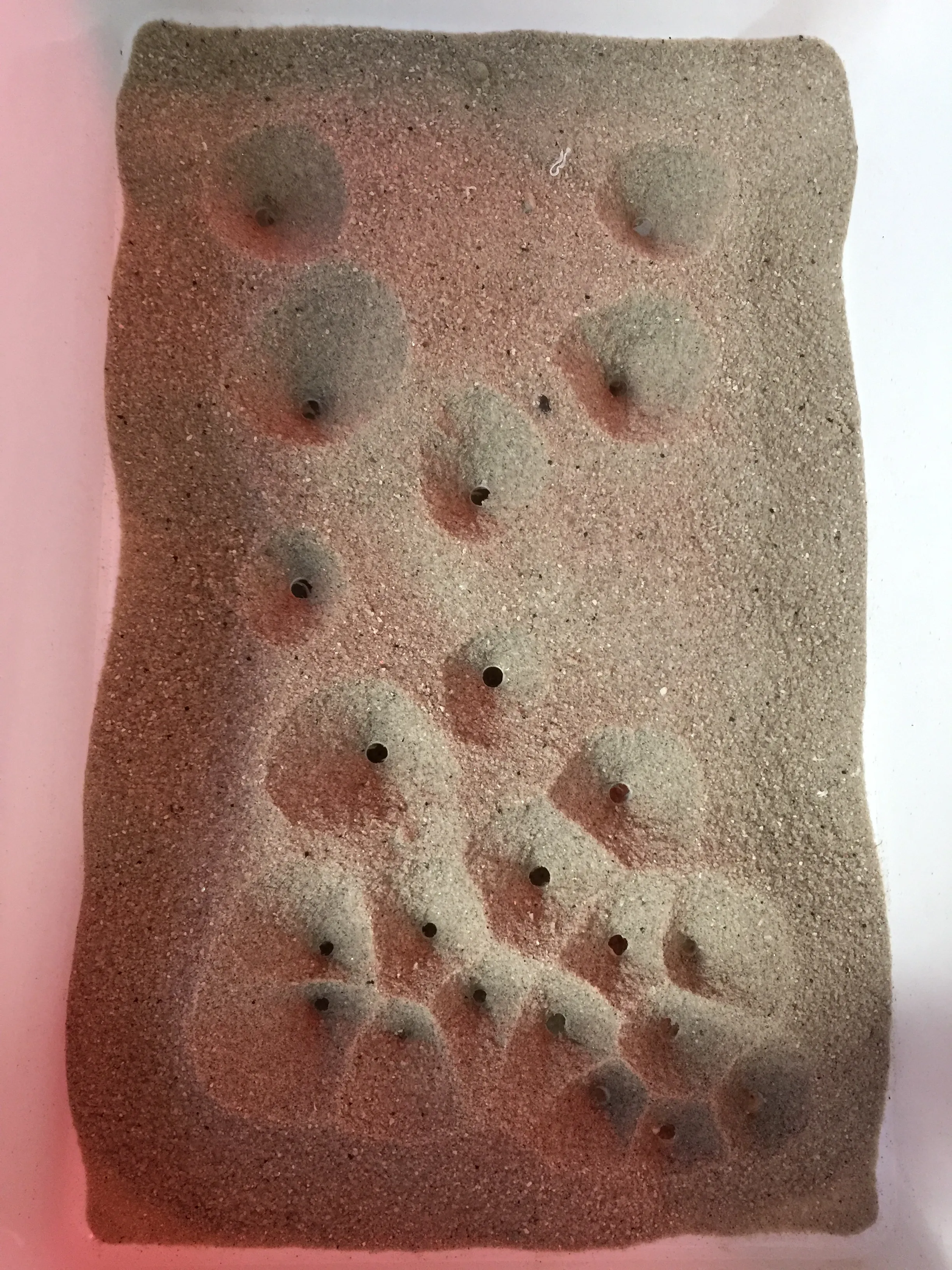 Padrão Voronoi emergindo da areia