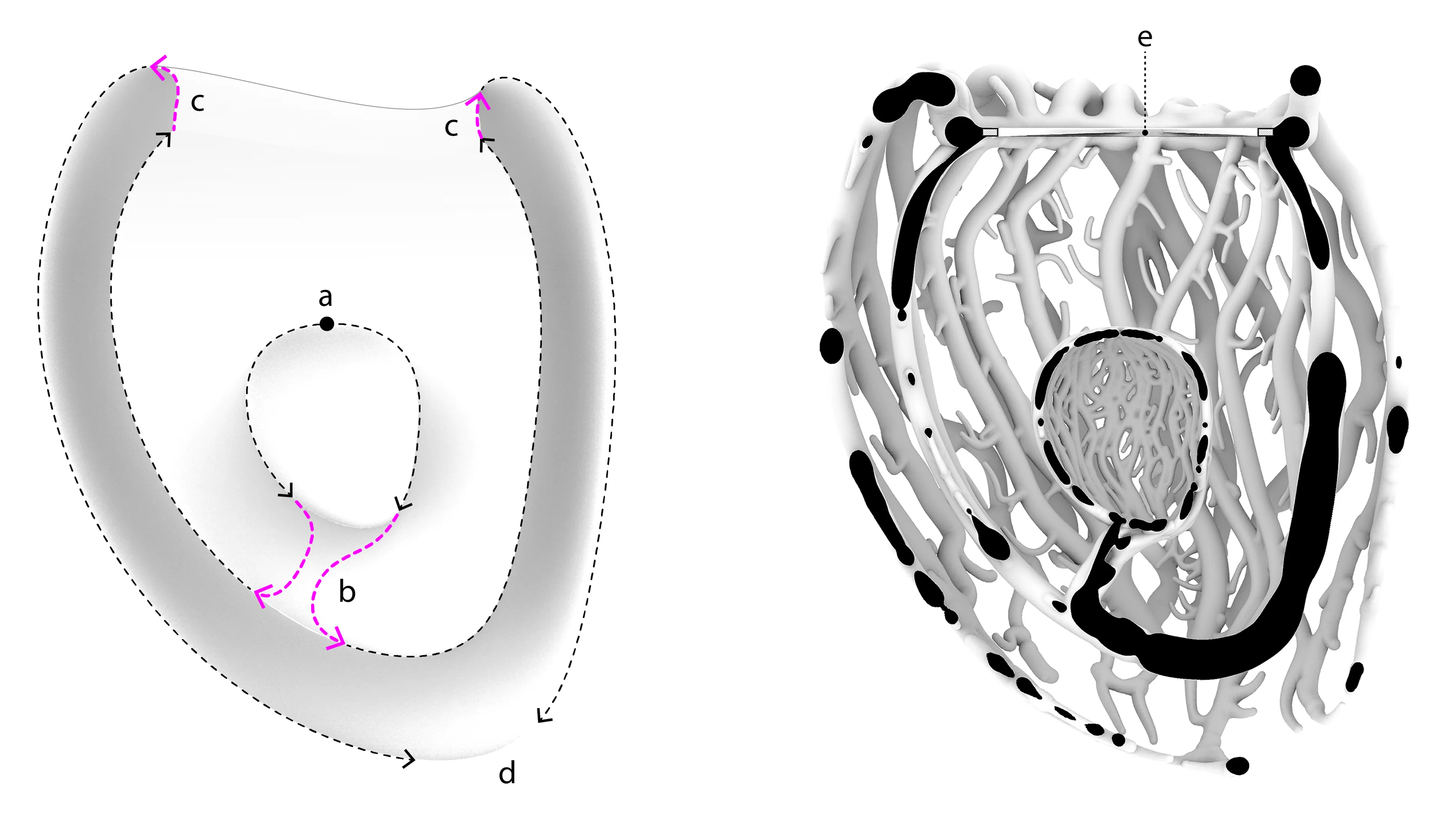 Path diagram for the agents and a section of the final thickened paths.
Path diagram and section of thickened paths.