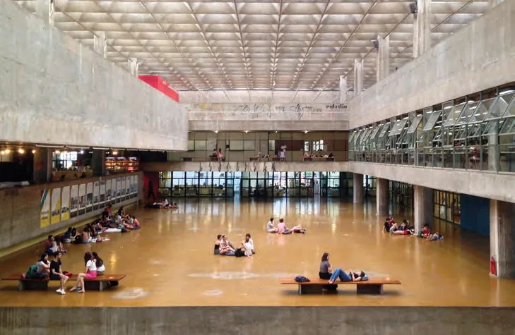 Weaver bird inspecting its nest