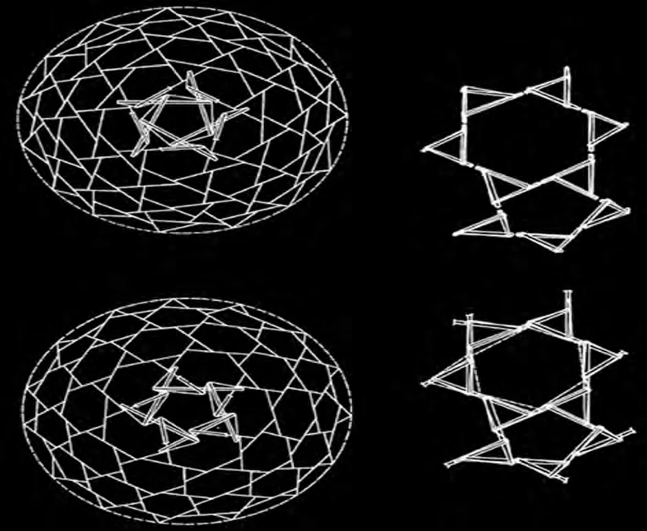 Examples of geodesic design in nature (radiolarians)