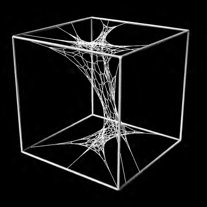 Result of Study 06: truncated phyllotaxis mesh