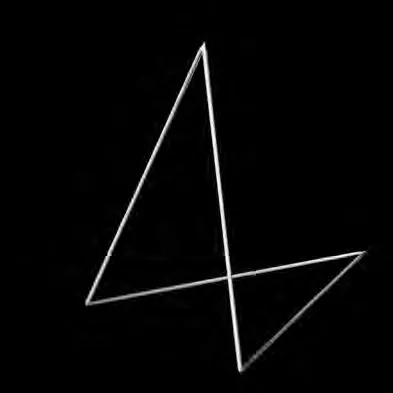 Module derived from the FAU-USP logo