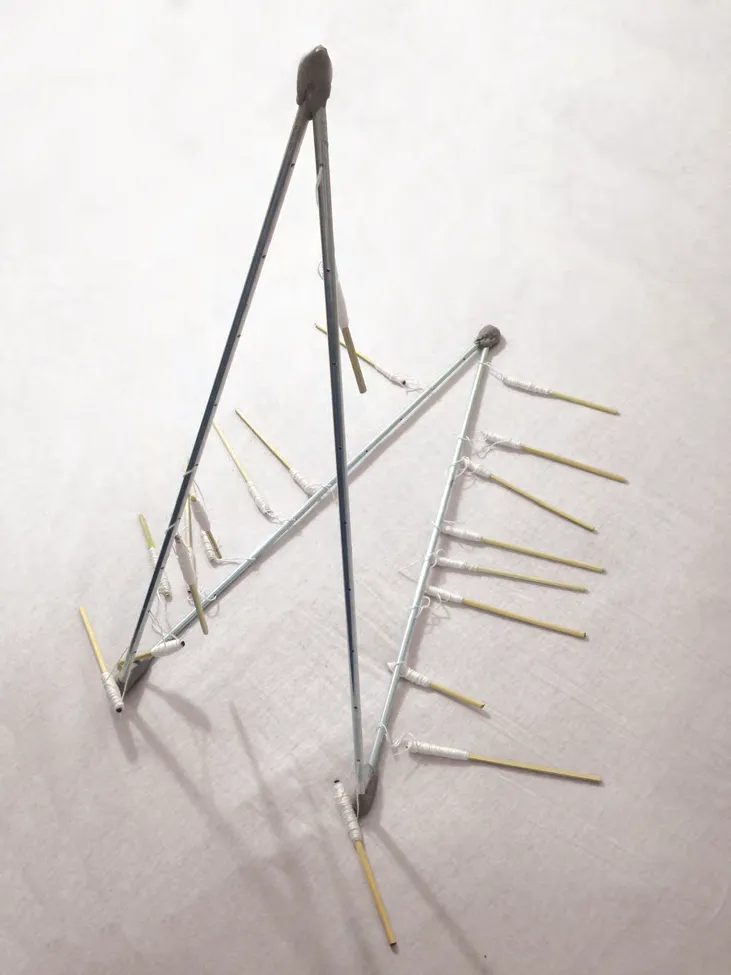 Assembled structural skeleton