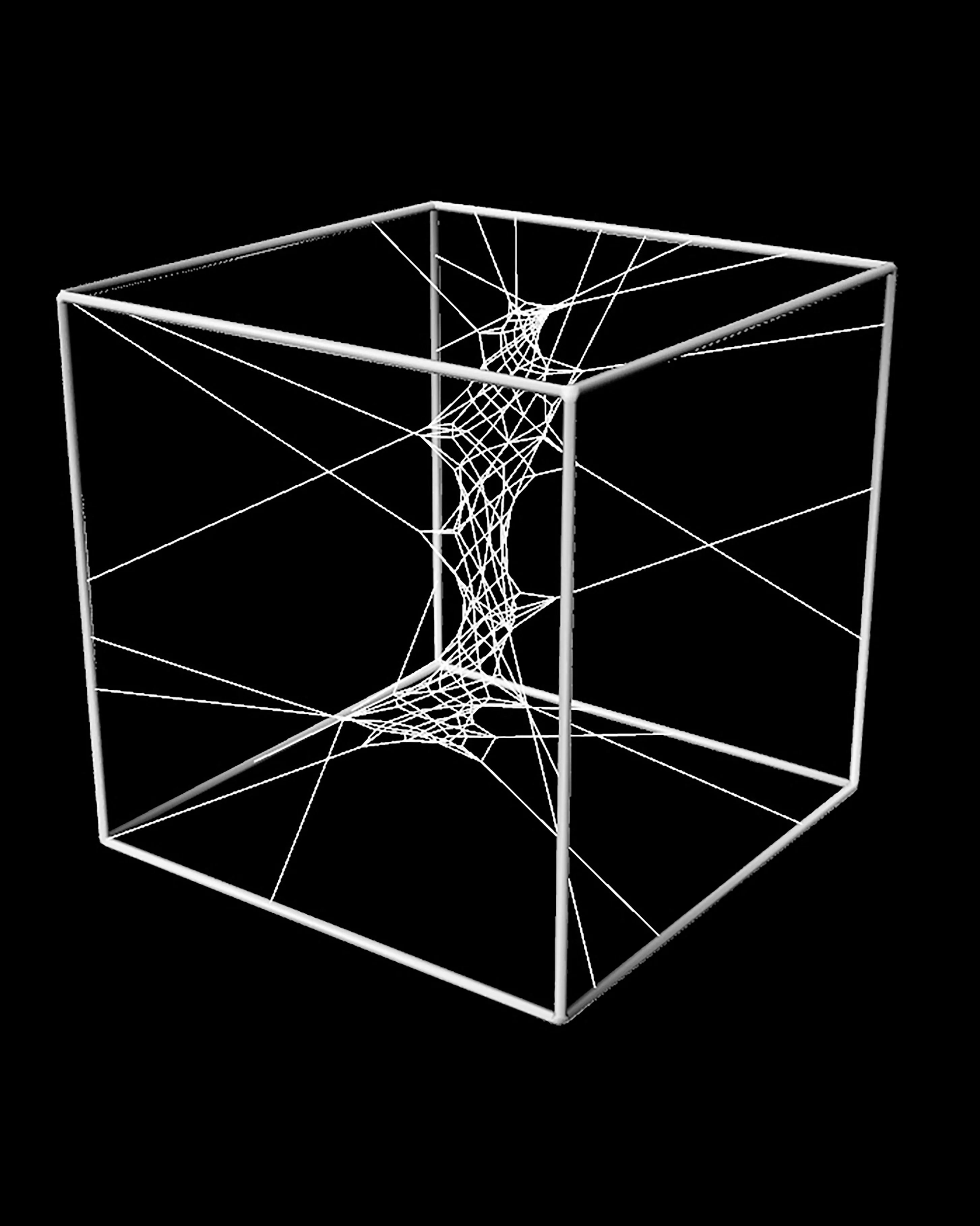 Phyllotaxis-Netz: Render 03