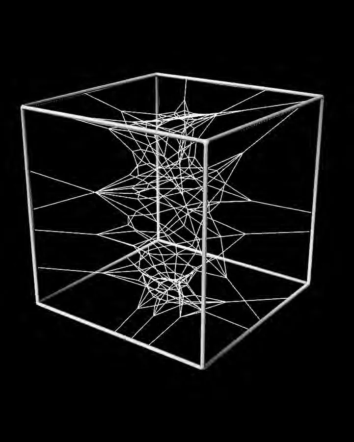 Phyllotaxis-Netz: Render 04