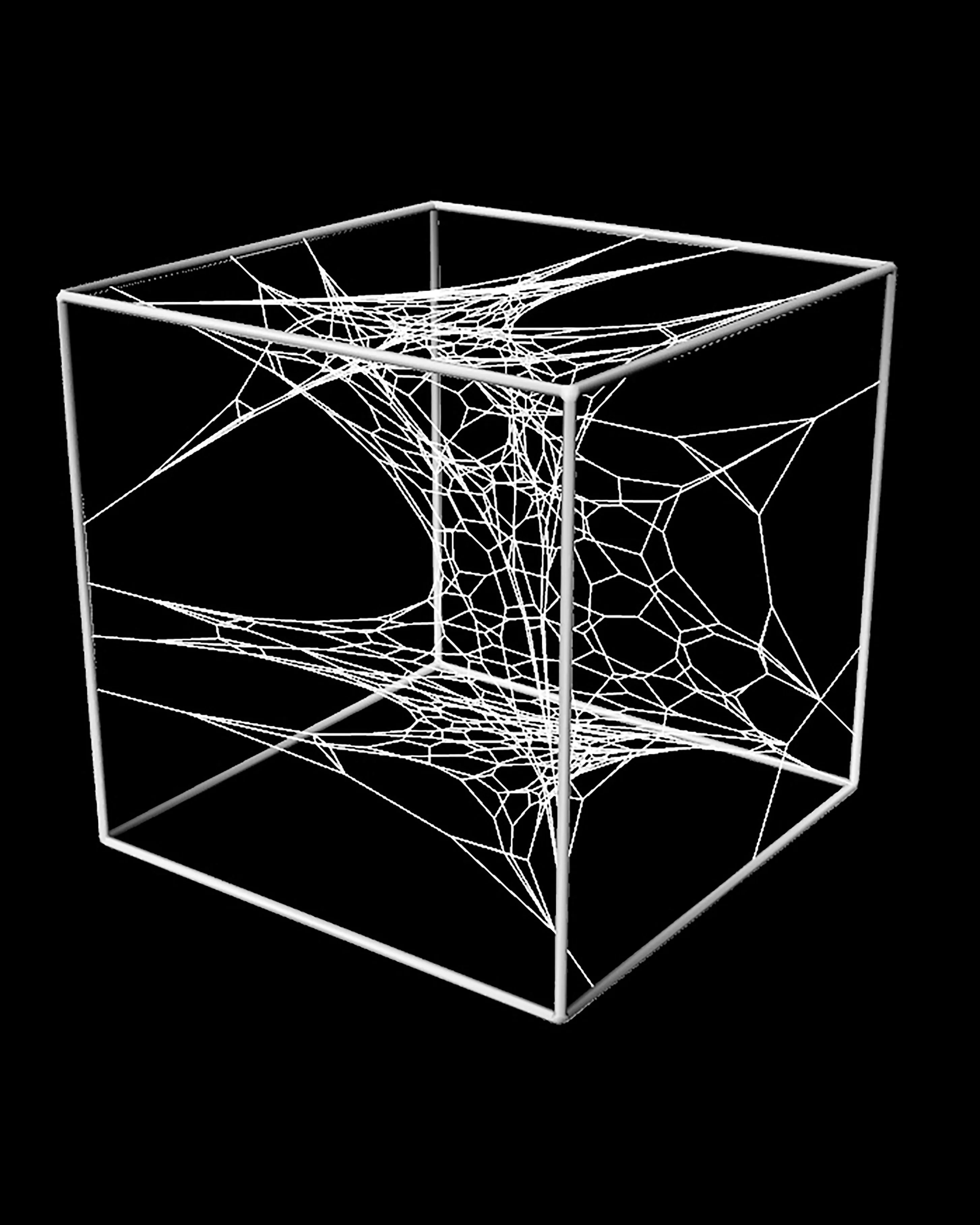 Abgestumpftes Phyllotaxis-Netz: Render 04