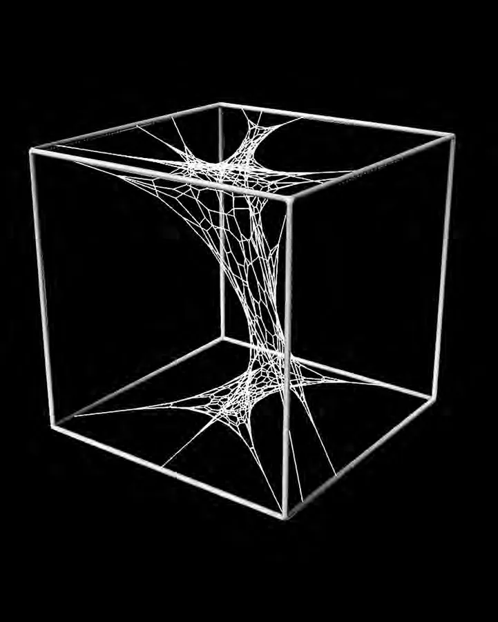 Abgestumpftes Phyllotaxis-Netz: Render 05