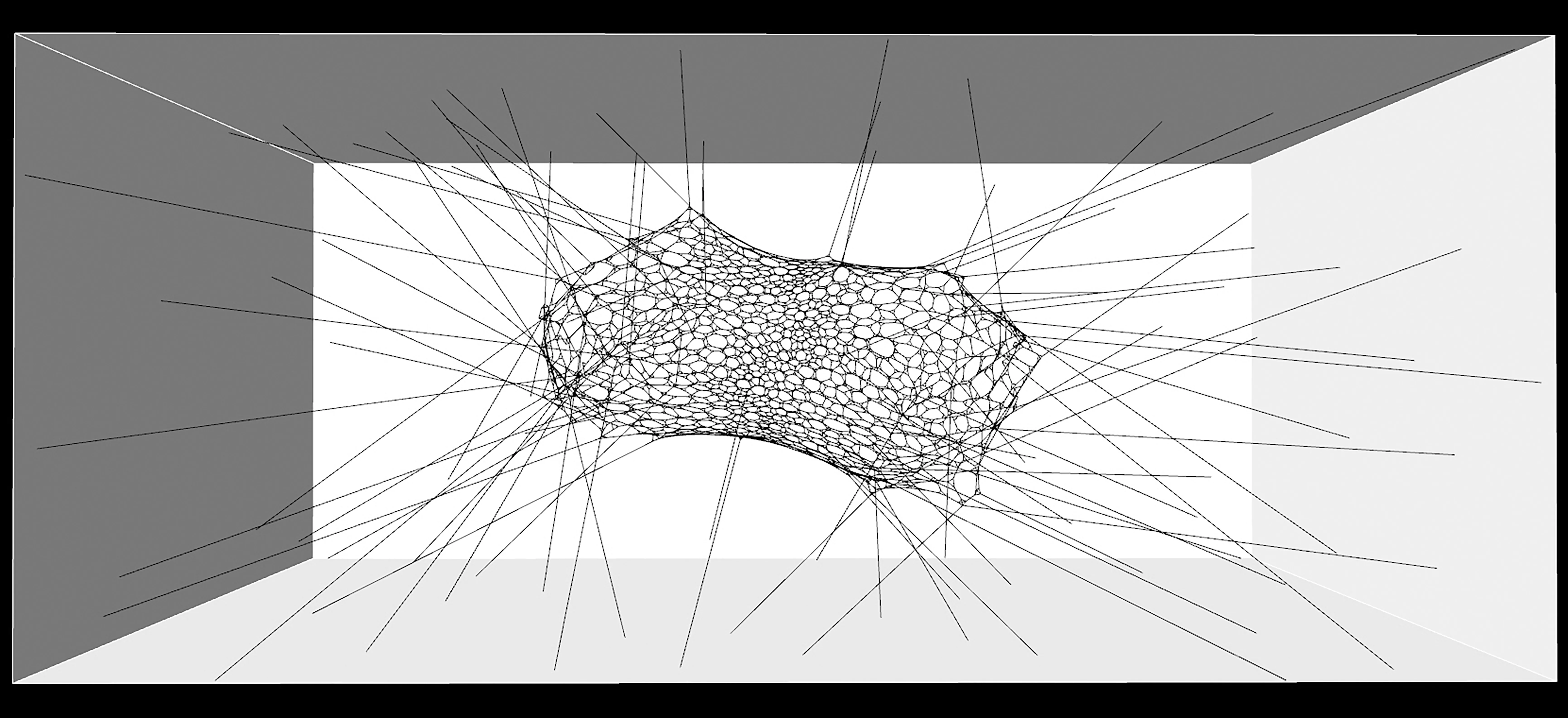 Galapagos-Iteration 01